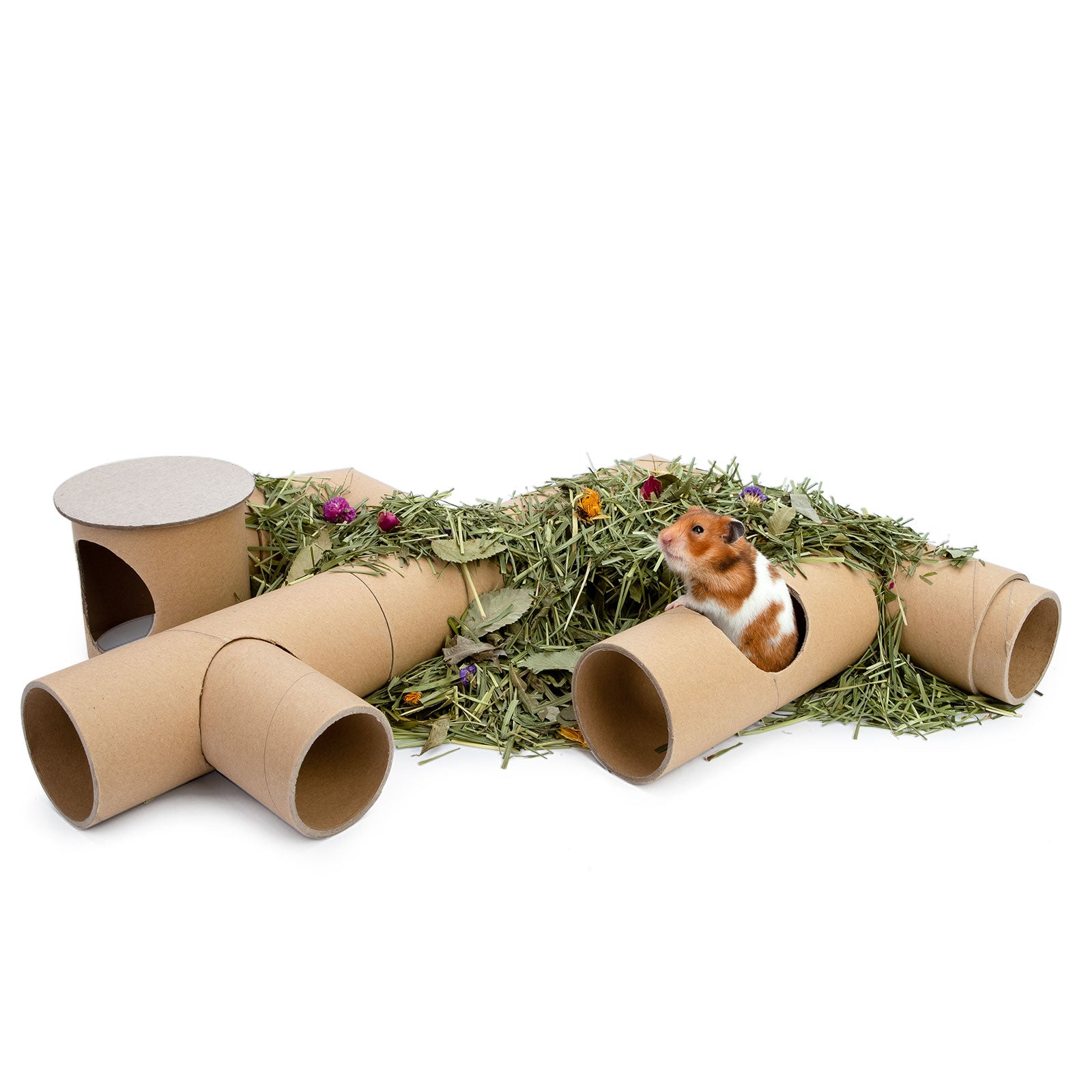 Hamster hotsell tunnel set