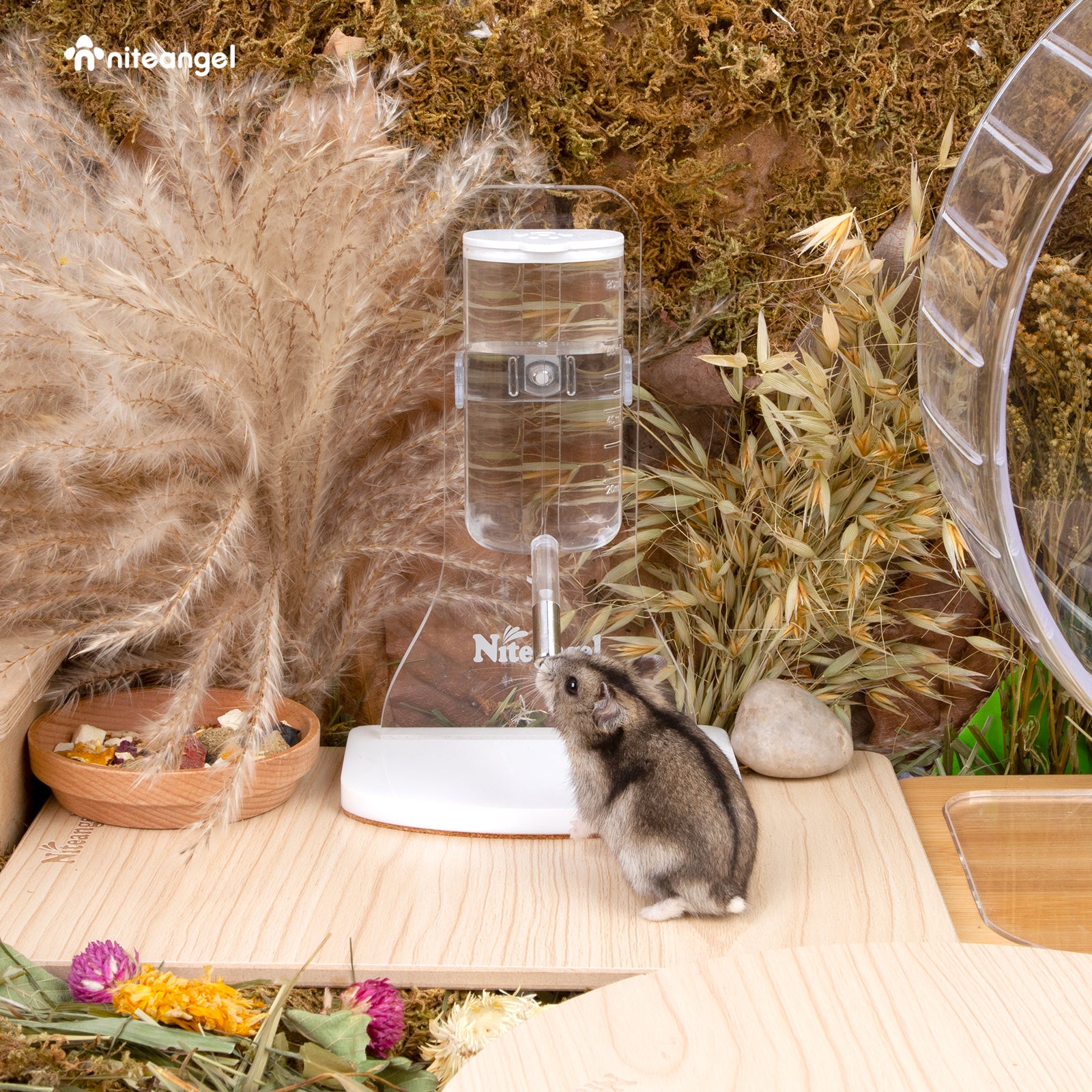 Quiet hamster water bottle best sale