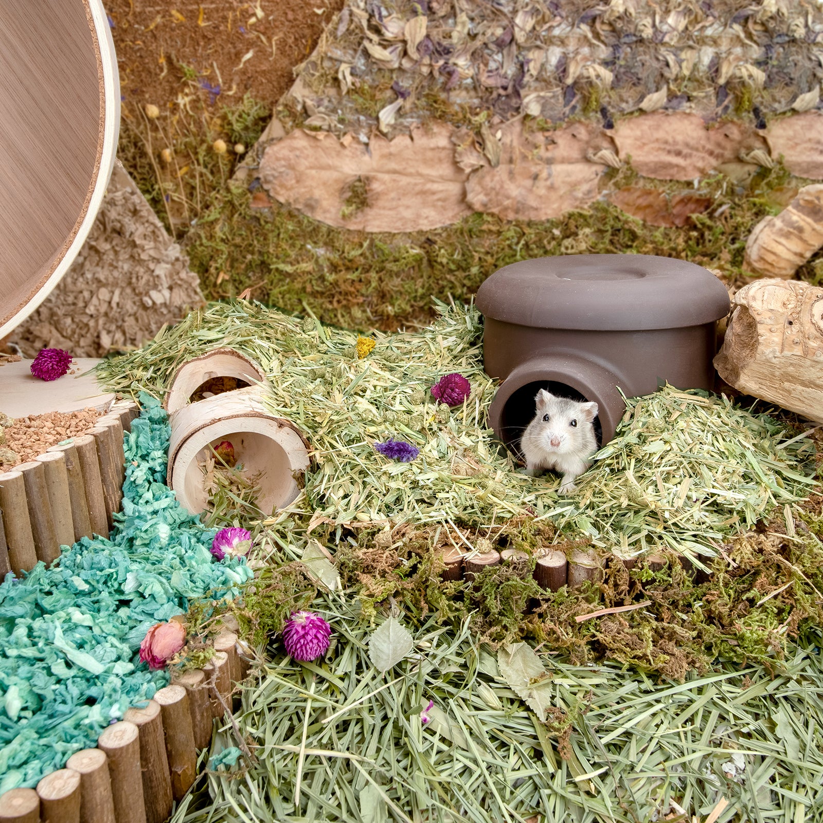 Natural themed hamster outlet cage