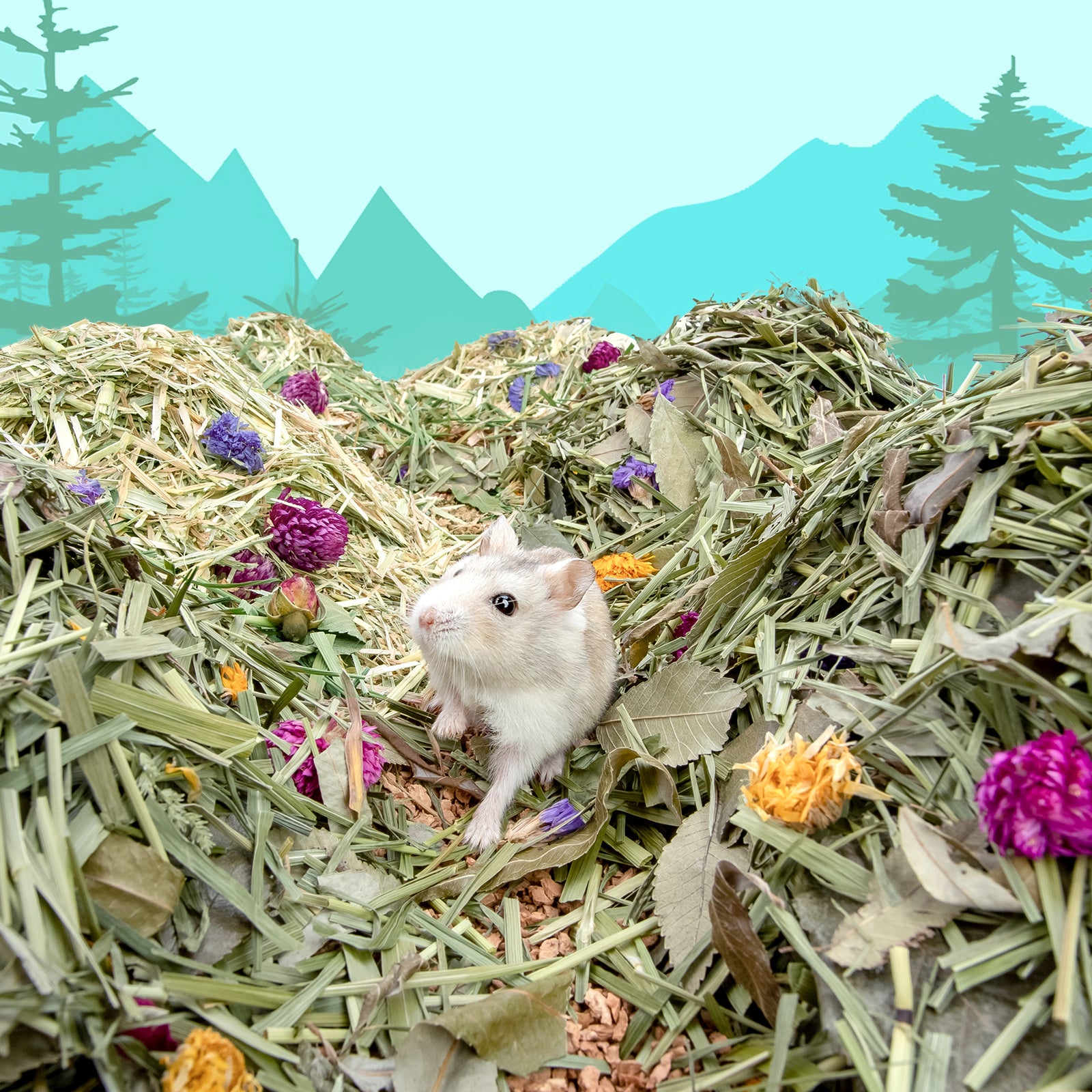 Natural hamster clearance bedding