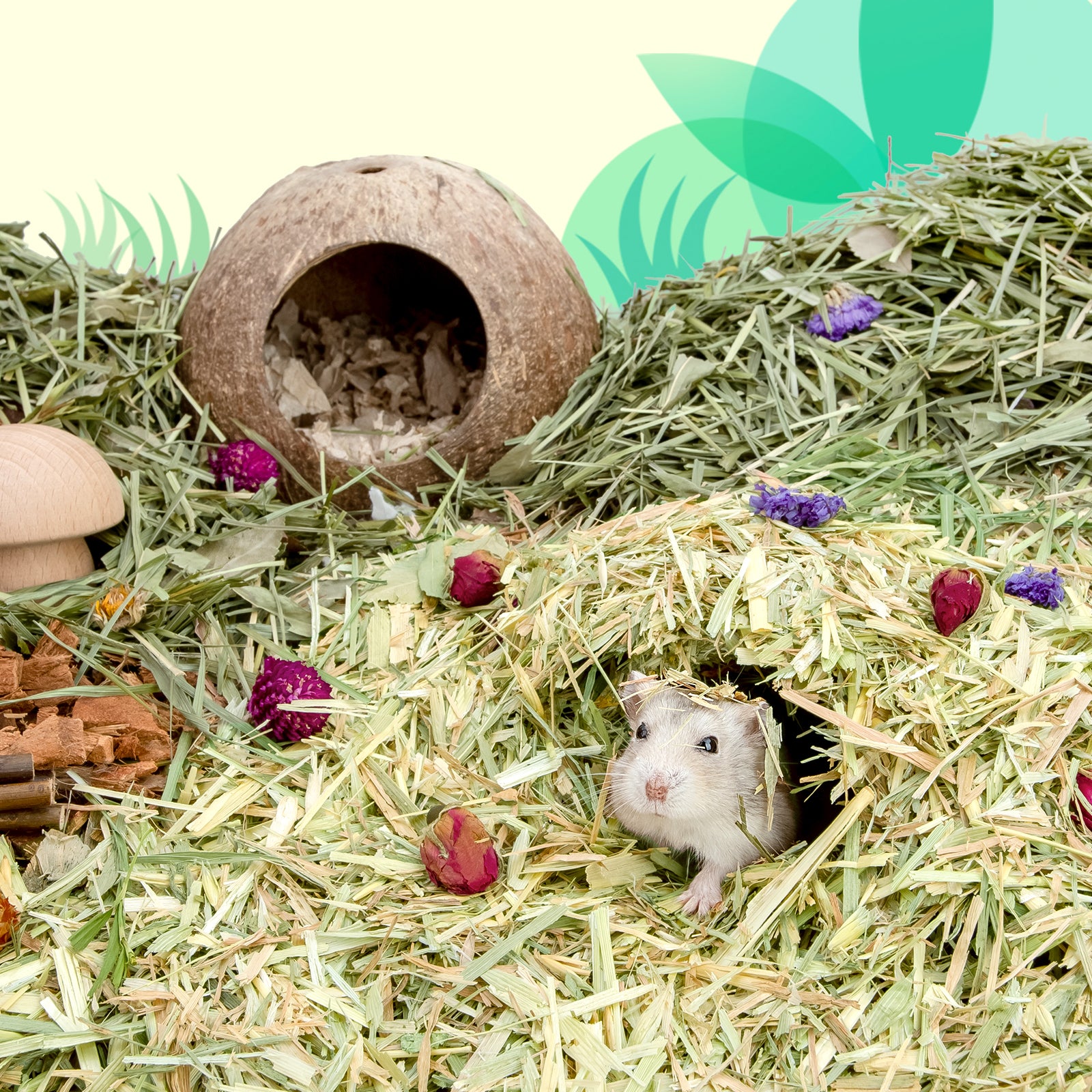 Hamster shop hay bedding